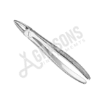 EXTRACTING FORCEPS, ENGLISH PATTERN (HP)