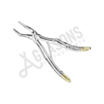 EXTRACTING FORCEPS, ENGLISH PATTERN FOR CHILDREN