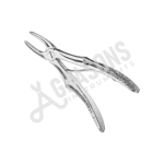 EXTRACTING FORCEPS, ENGLISH PATTERN FOR CHILDREN